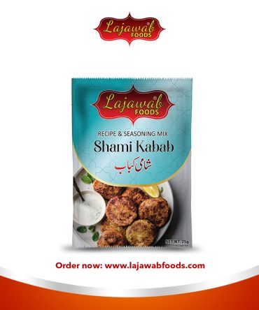 Shami kabab